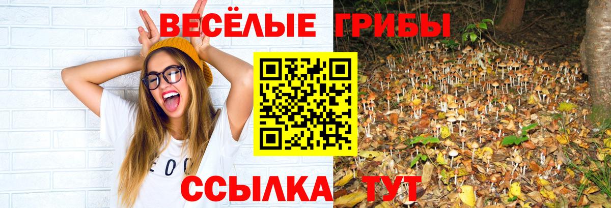 Саров  Галлюциногенные грибы MAGIC MUSHROOMS  Псилоцибиновые грибы Psilocybine cubensis  Вход с VPN 