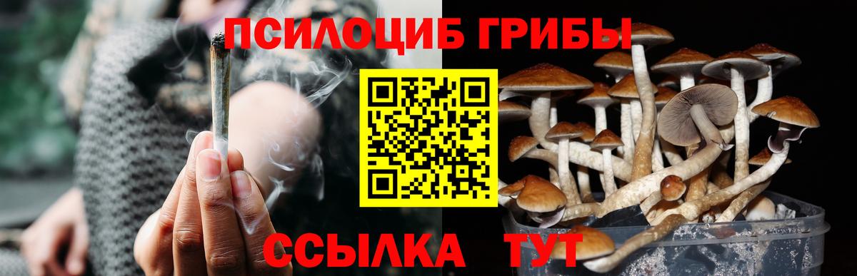 Галлюциногенные грибы мицелий Саров